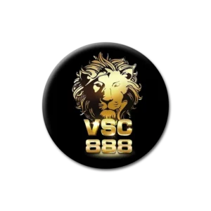 logo - vsc888-plus.com